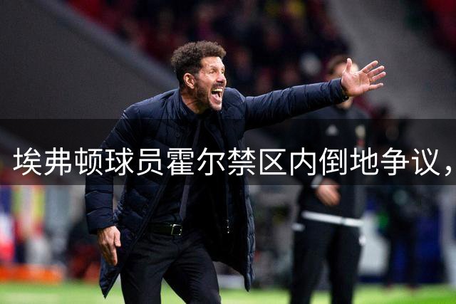 埃弗顿球员霍尔禁区内倒地争议，裁判未判点球引争议